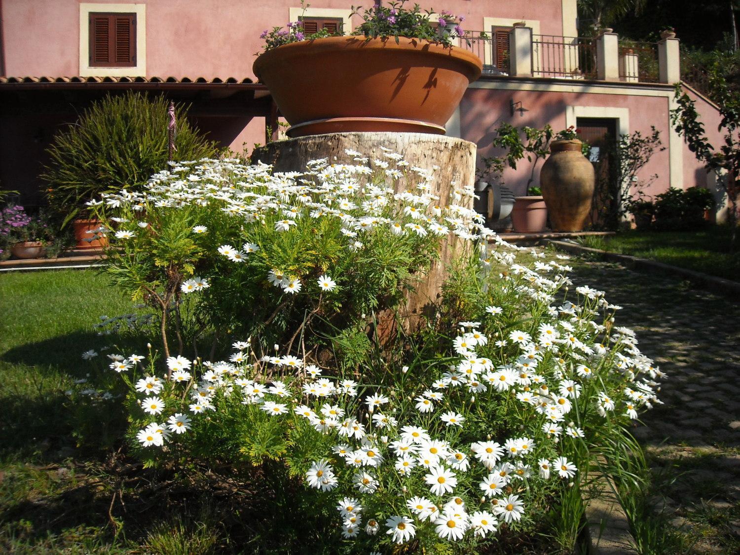 Agriturismo Villa Luca SantʼAgata di Militello Εξωτερικό φωτογραφία